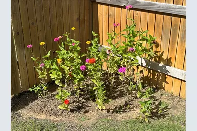 202 Big Sandy Creek Drive, Hutto, TX 78634 - Photo 38