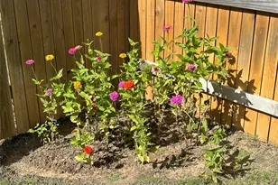 202 Big Sandy Creek Dr, Hutto, TX 78634 - Photo 38