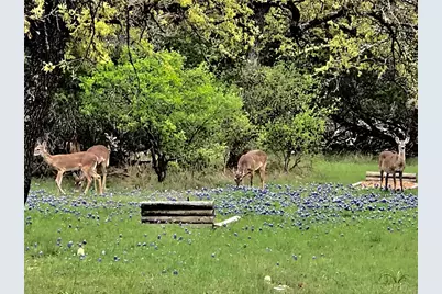 280 Sunset Terrace, Cedar Park, TX 78613 - Photo 36