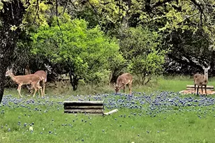 280 Sunset Terrace, Cedar Park, TX 78613 - Photo 36