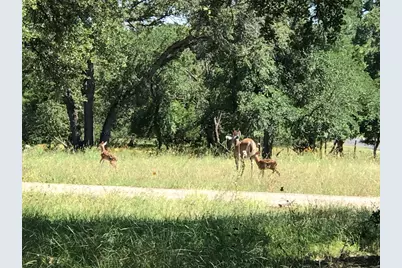 280 Sunset Terrace, Cedar Park, TX 78613 - Photo 34