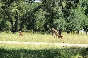 280 Sunset Terrace, Cedar Park, TX 78613 - Photo 34