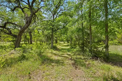 1128 Posey Ranch Road, Fischer, TX 78623 - Photo 34