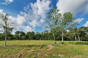 1284 Beaver Lake Dr, Caldwell, TX 77836 - Photo 30