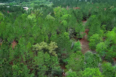 453 Kelley Road, Bastrop, TX 78602 - Photo 16