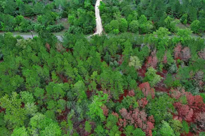 453 Kelley Road, Bastrop, TX 78602 - Photo 12