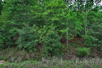 453 Kelley Road, Bastrop, TX 78602 - Photo 14