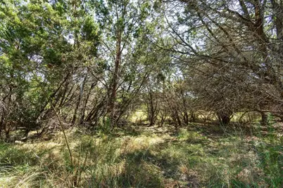 704 Palos Verdes Drive, Lakeway, TX 78734 - Photo 18