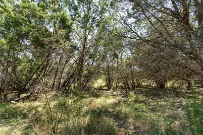 704 Palos Verdes Drive, Lakeway, TX 78734 - Photo 18