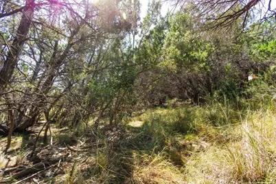 704 Palos Verdes Drive, Lakeway, TX 78734 - Photo 16