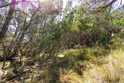 704 Palos Verdes Drive, Lakeway, TX 78734 - Photo 16