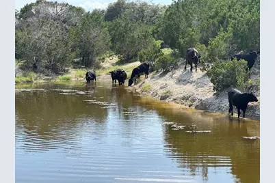 Lot 22 Rifle Ridge, Burnet, TX 78611 - Photo 4