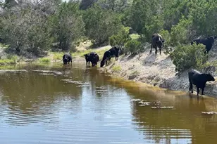 Lot 22 Rifle Ridge, Burnet, TX 78611 - Photo 4