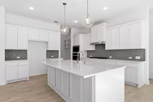 372 Wood Thrush Run, Kyle, TX 78640 - Photo 10