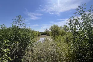 700 County Road 330 Rd, Granger, TX 76530 - Photo 6