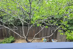 4213 Ramsey Ave, Austin, TX 78756 - Photo 24