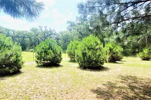3321 Co Rd 457, Thorndale, TX 76577 - Photo 14