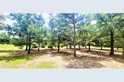 3321 County Road 457, Thorndale, TX 76577 - Photo 12