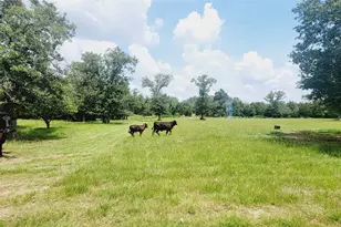 3321 Co Rd 457, Thorndale, TX 76577 - Photo 2