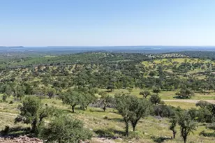 3531 Rm-3347 - Lot 16, Round Mountain, TX 78663 - Photo 8