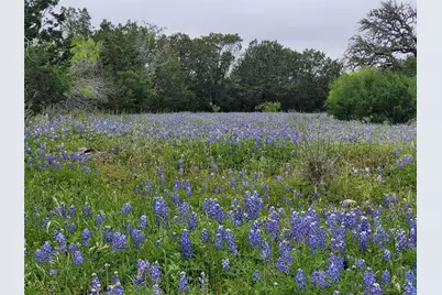 9939 County Road 404, Spicewood, TX 78669 - Photo 16