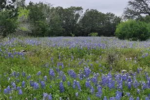 9939 Co Rd 404, Spicewood, TX 78669 - Photo 16