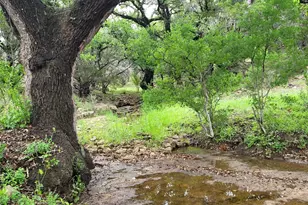 9939 Co Rd 404, Spicewood, TX 78669 - Photo 12