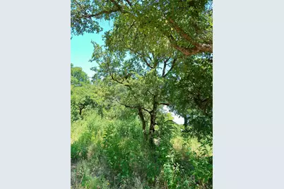 208 Serenity Drive, Liberty Hill, TX 78642 - Photo 28