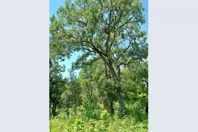 208 Serenity Drive, Liberty Hill, TX 78642 - Photo 1