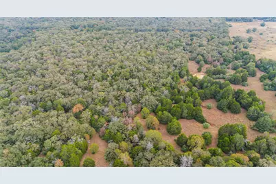 Tbd County Road #415, Lexington, TX 78947 - Photo 8