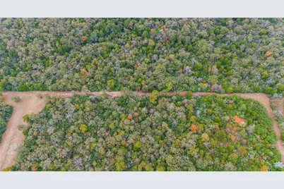 Tbd County Road #415, Lexington, TX 78947 - Photo 6