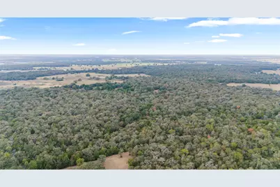 Tbd County Road #415, Lexington, TX 78947 - Photo 10