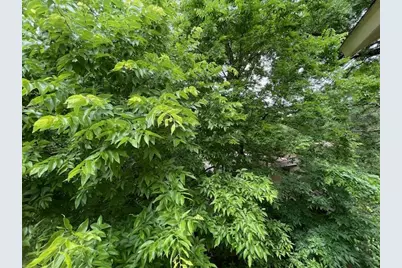 8808 Mountain Ridge Drive #B, Austin, TX 78759 - Photo 30