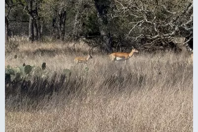 Tbd Blackbuck Ridge Drive, Lampasas, TX 76550 - Photo 24
