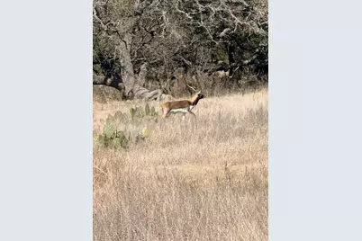 Tbd Blackbuck Ridge Drive, Lampasas, TX 76550 - Photo 22