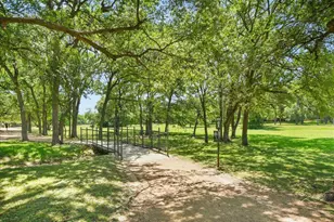 6808 Luckenbach Ln, Austin, TX 78729 - Photo 32