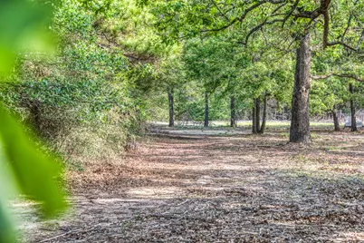 242 Cody Lane, Bastrop, TX 78602 - Photo 14