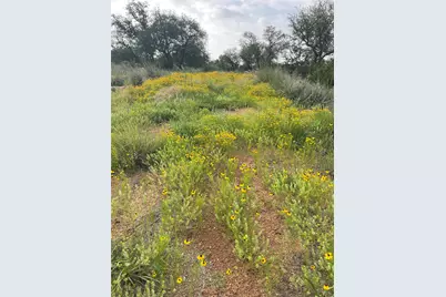 Lot 48 Inksview Lane, Kingsland, TX 78639 - Photo 2