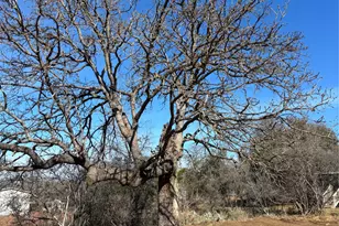 0 Castleshoals Dr, Granite Shoals, TX 78654 - Photo 2