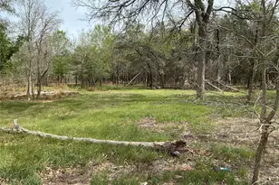 125 Turkey Run, Cedar Creek, TX 78612 - Photo 14