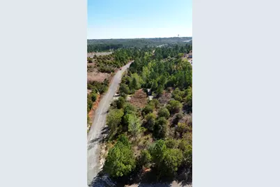 Tbd Aloha Lane, Bastrop, TX 78602 - Photo 14