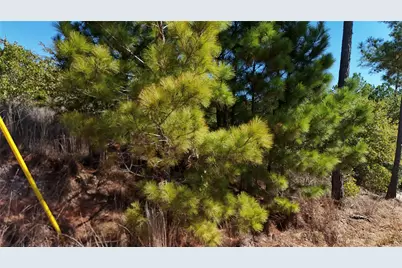 Tbd Aloha Lane, Bastrop, TX 78602 - Photo 20