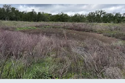 615 County Road 467, Thrall, TX 76578 - Photo 28