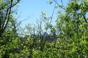 2912 E 14th St, Austin, TX 78702 - Photo 20