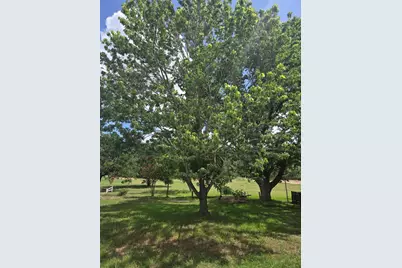 184 Kahana Lane, Bastrop, TX 78602 - Photo 6