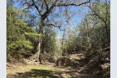Tbd Anchor Ranch Loop, Flatonia, TX 78941 - Photo 22