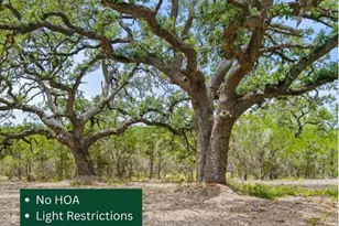 000 Oak Valley Ranch, Dripping Springs, TX 78676 - Photo 1