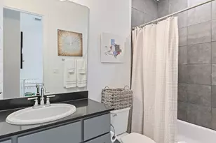 411 Ringtail Stream Dr, Austin, TX 78738 - Photo 32