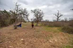 537 Leisure Ln, Cedar Creek, TX 78612 - Photo 28