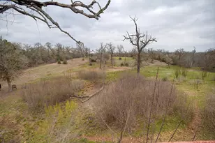537 Leisure Ln, Cedar Creek, TX 78612 - Photo 24